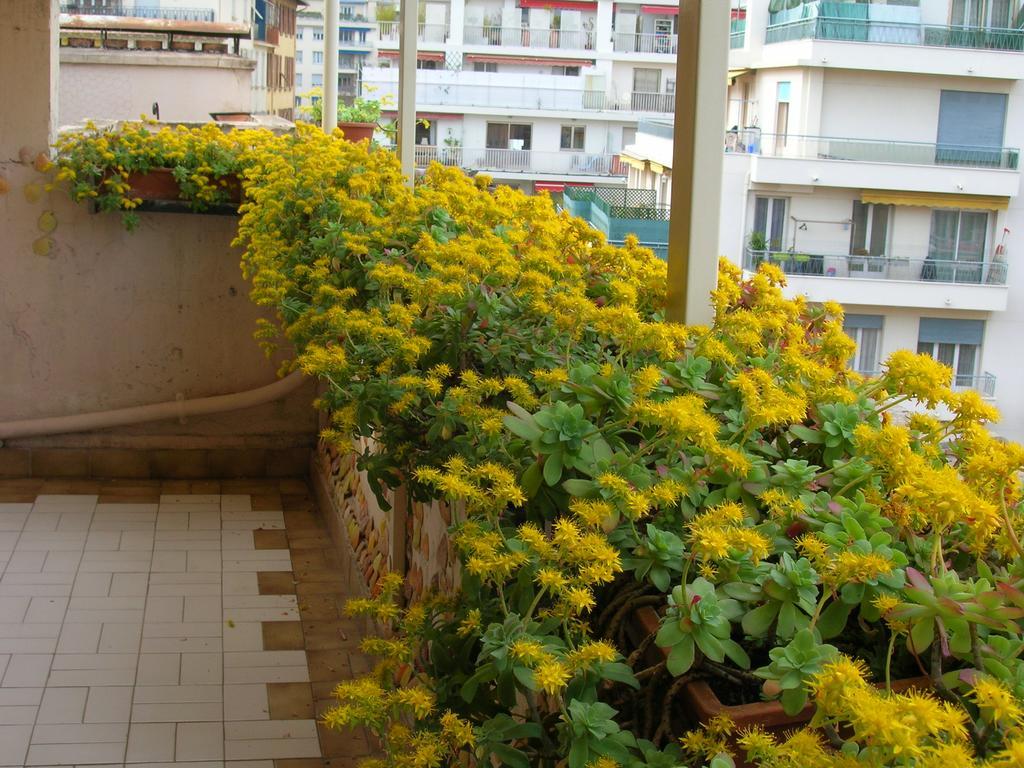 Palladium - Petite Maison De Charme Vintage Apartament Nicea Zewnętrze zdjęcie